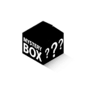 10 Piece women mystery box